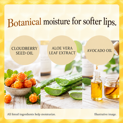 BEE HONEY Ettou Lip Balm | 2026 Winter Limited | 4.5g