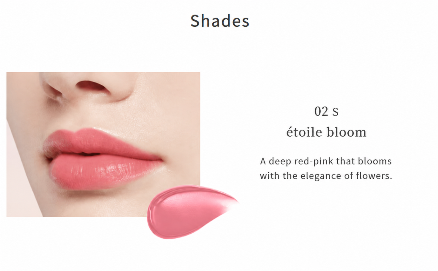 DECORTÉ Rouge Decorté Cream Satin 02S étoile bloom