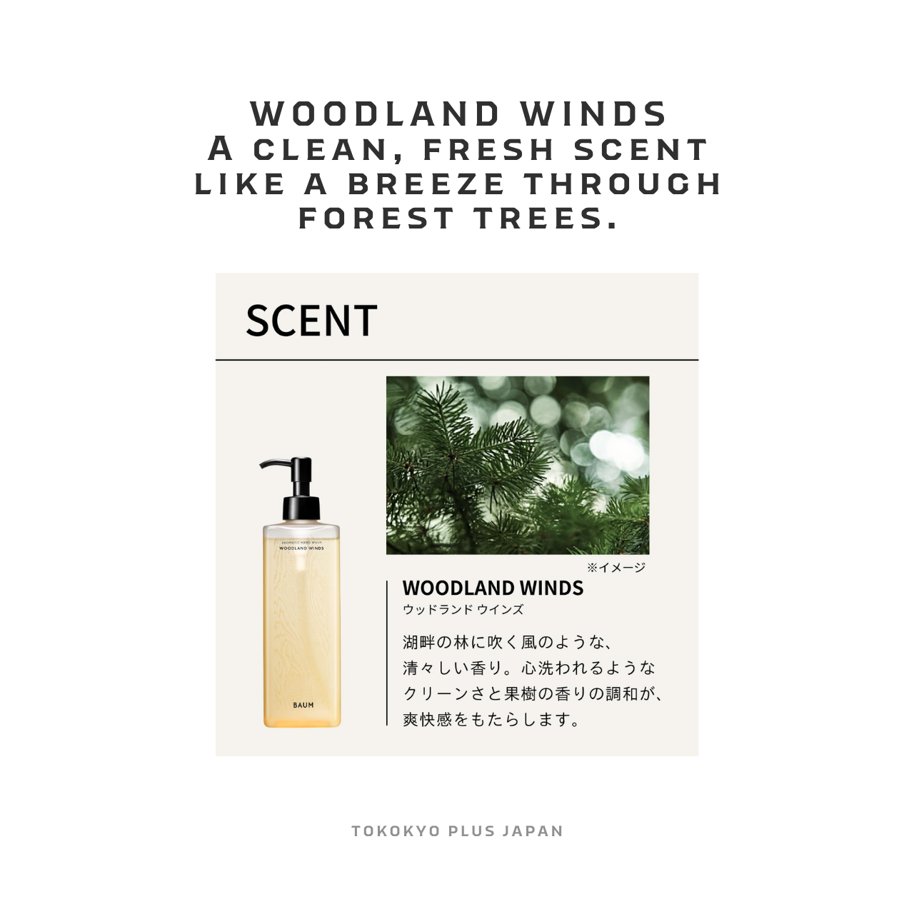 BAUM Aromatic Hand Wash n 300mL | 3 Scents Japanese Hand Soap