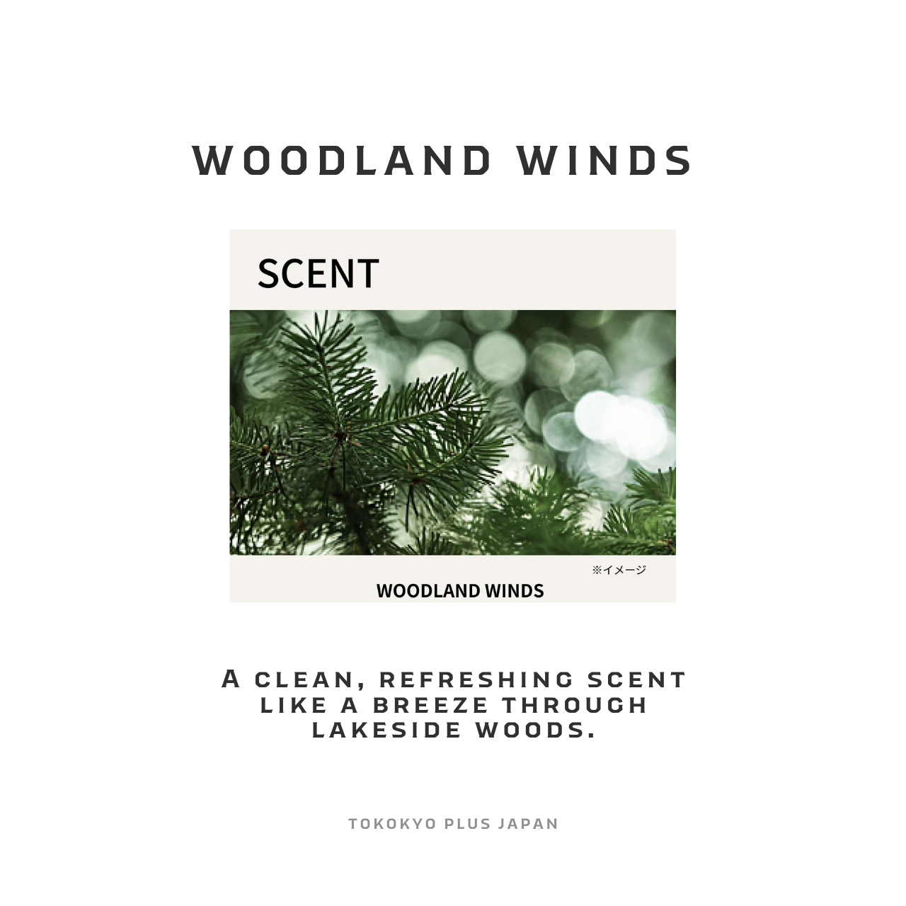 BAUM Exfoliating Scrub 150g | Japanese Woodland Winds Facial Scrub