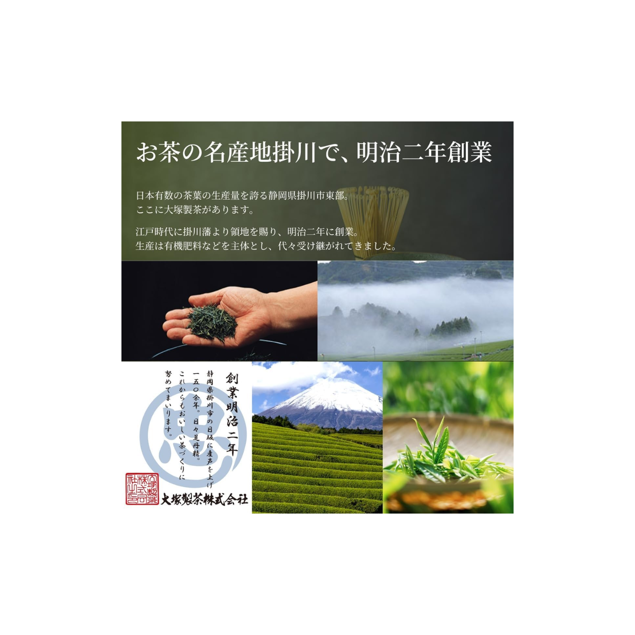 Otsuka Organic Matcha 30g | Daily Premium Japanese Green Tea Powder