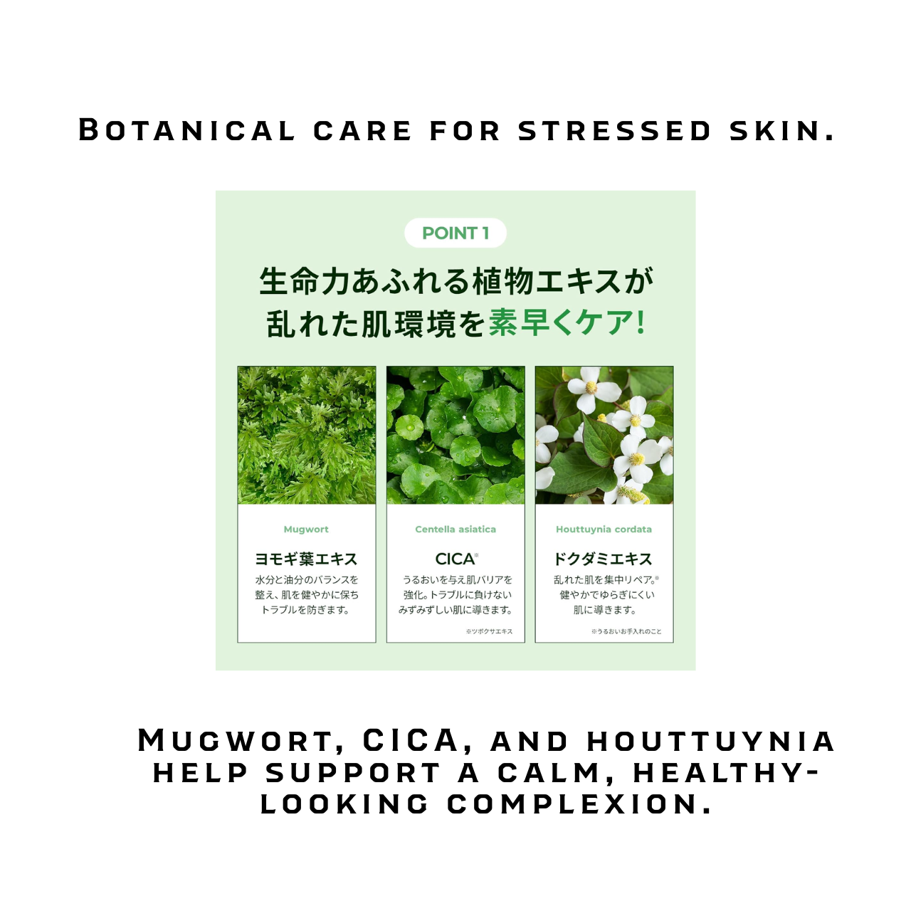 LIALUSTER CICA Soothing Hydro Real Mugwort Mask | Japanese Sheet Mask 7 Sheets
