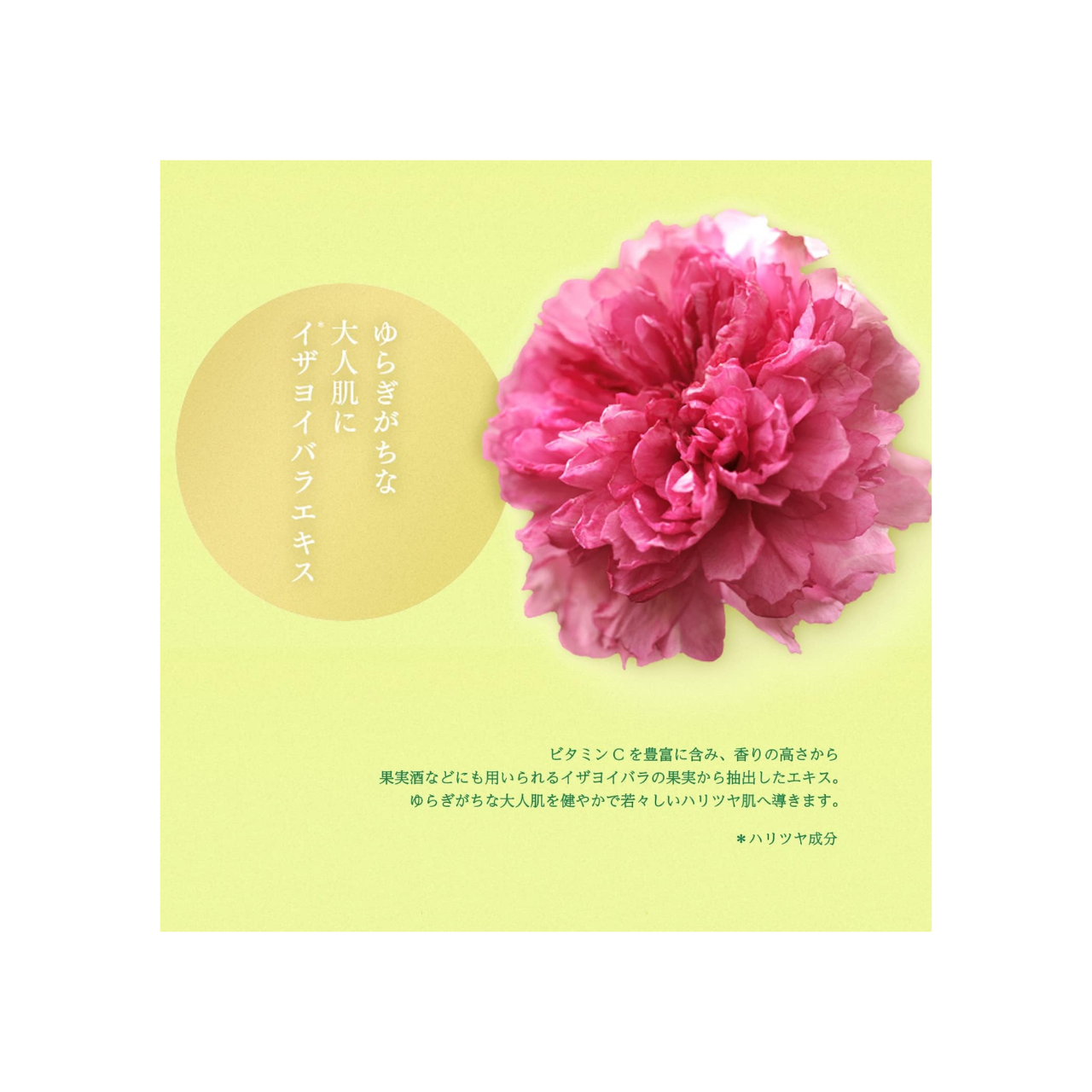 LuLuLun Shine Muscat Face Mask | Nagano Yamanashi Regional Sheet Mask 1 Sheet x 5 Pouches