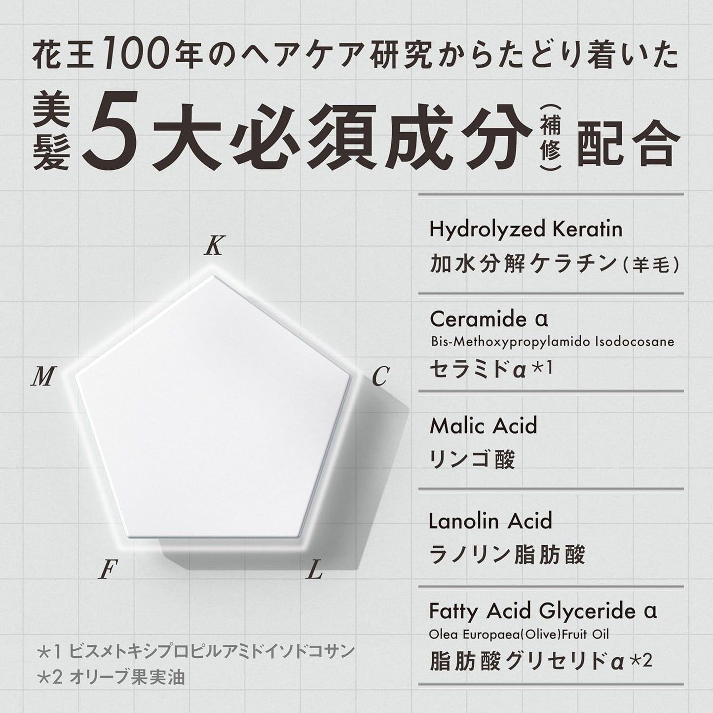 THE ANSWER by Kao Super Lamellar Shampoo 400ml + EX Gloss Treatment 220g Set | Japanese Haircare