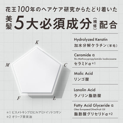THE ANSWER by Kao Super Lamellar Shampoo 400ml + EX Gloss Treatment 220g Set | Japanese Haircare