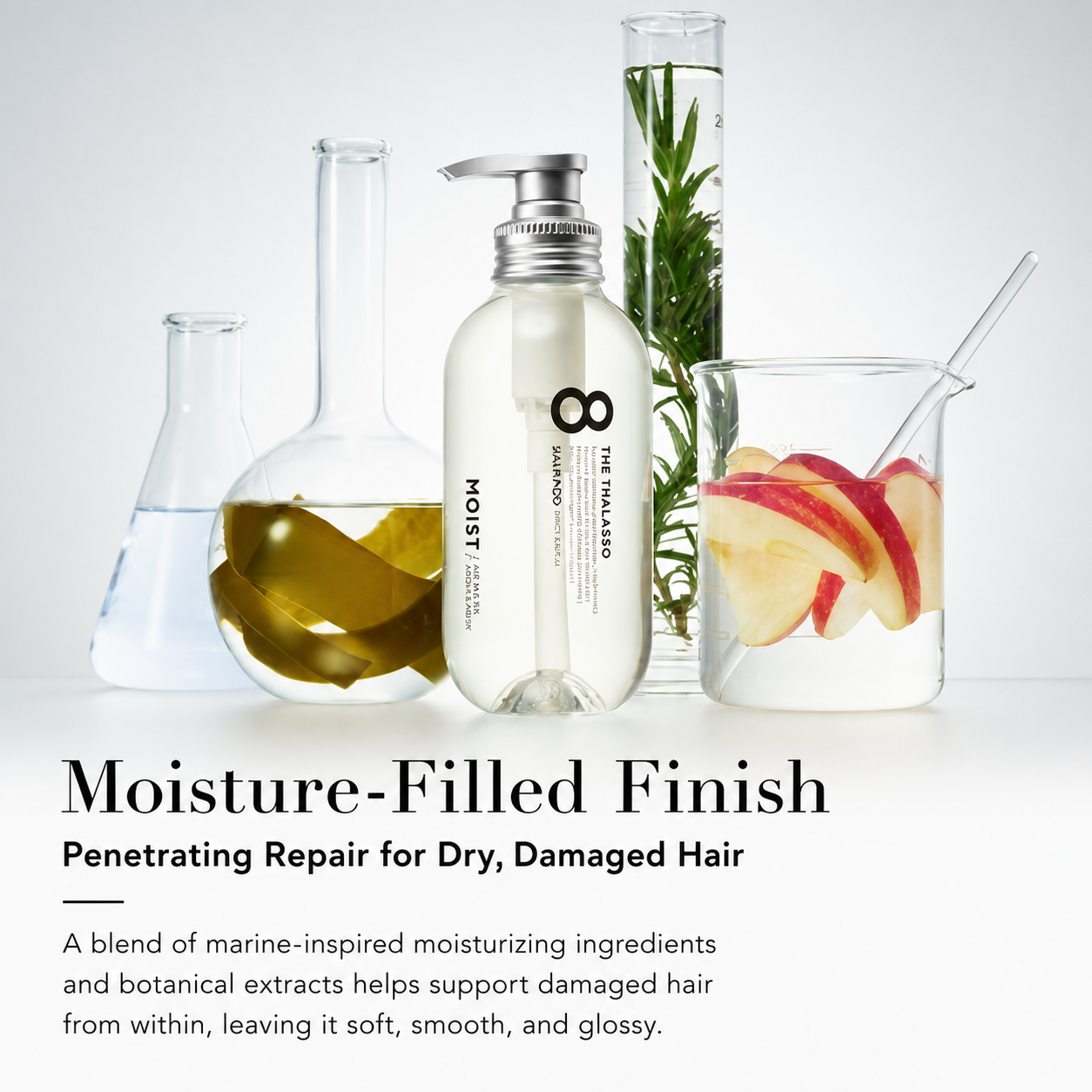 8 THE THALASSO moisture repair concept