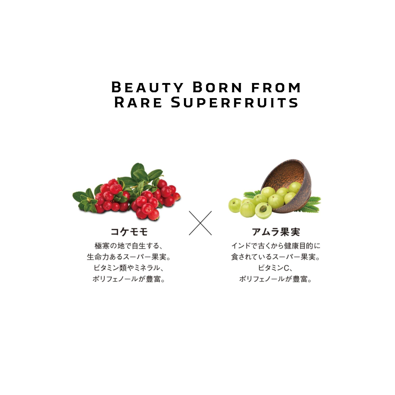 SHISEIDO Die Kollagentabletten | Japanisches Schönheitsergänzungsmittel