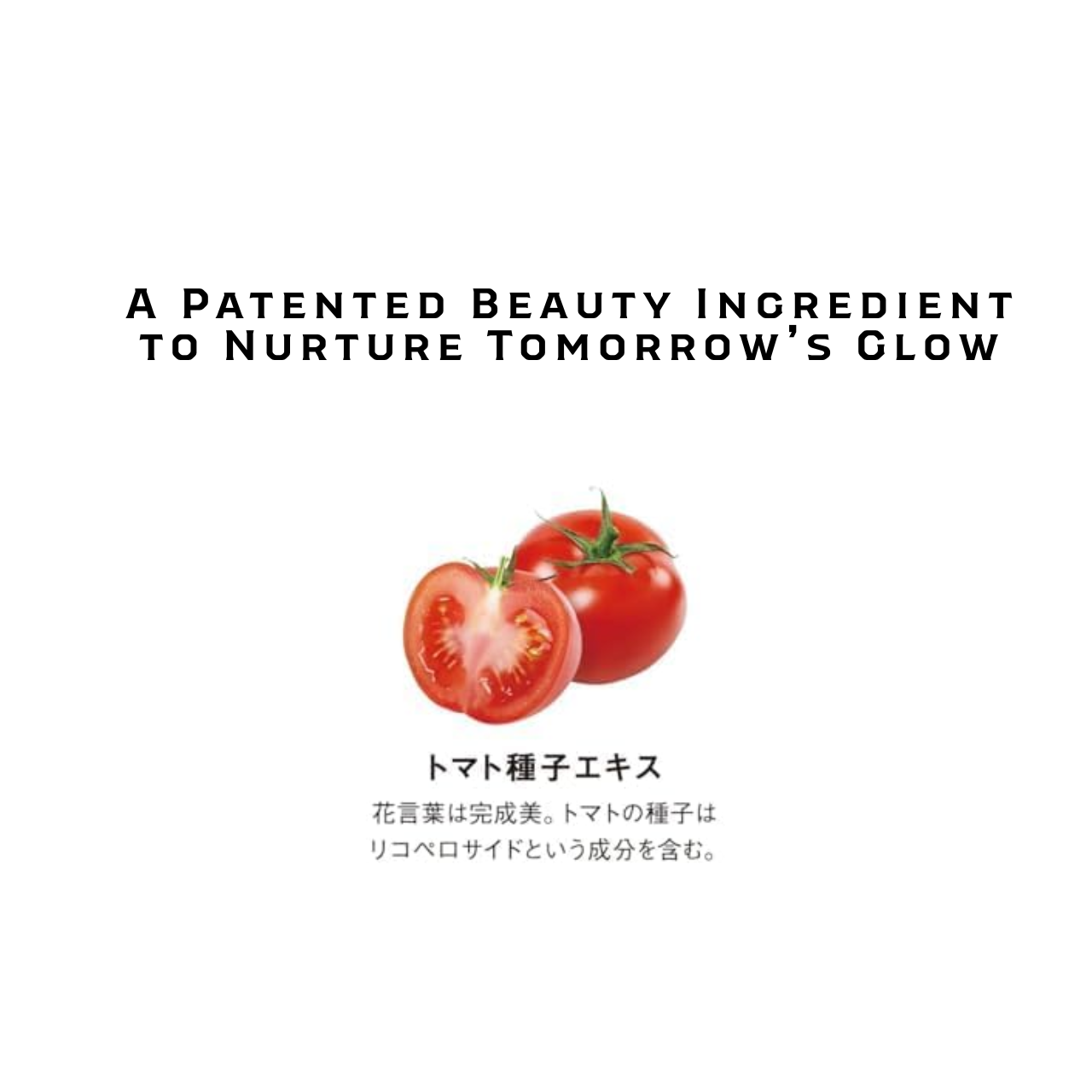 SHISEIDO Die Kollagentabletten | Japanisches Schönheitsergänzungsmittel