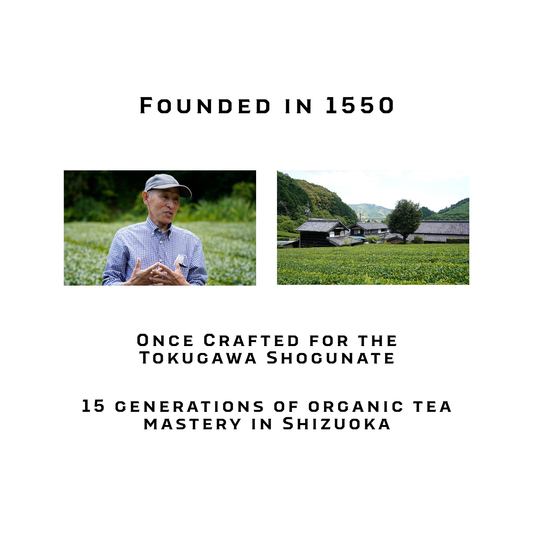 Dosaki Tenryo Organic Sencha 100g | First Flush Japanese Green Tea from Shizuoka