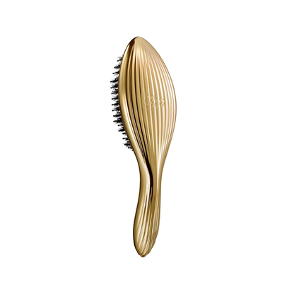ReFa AILE BRUSH RAY | Hochwertige japanische Haarbürste mit natürlichen Wildschweinborsten