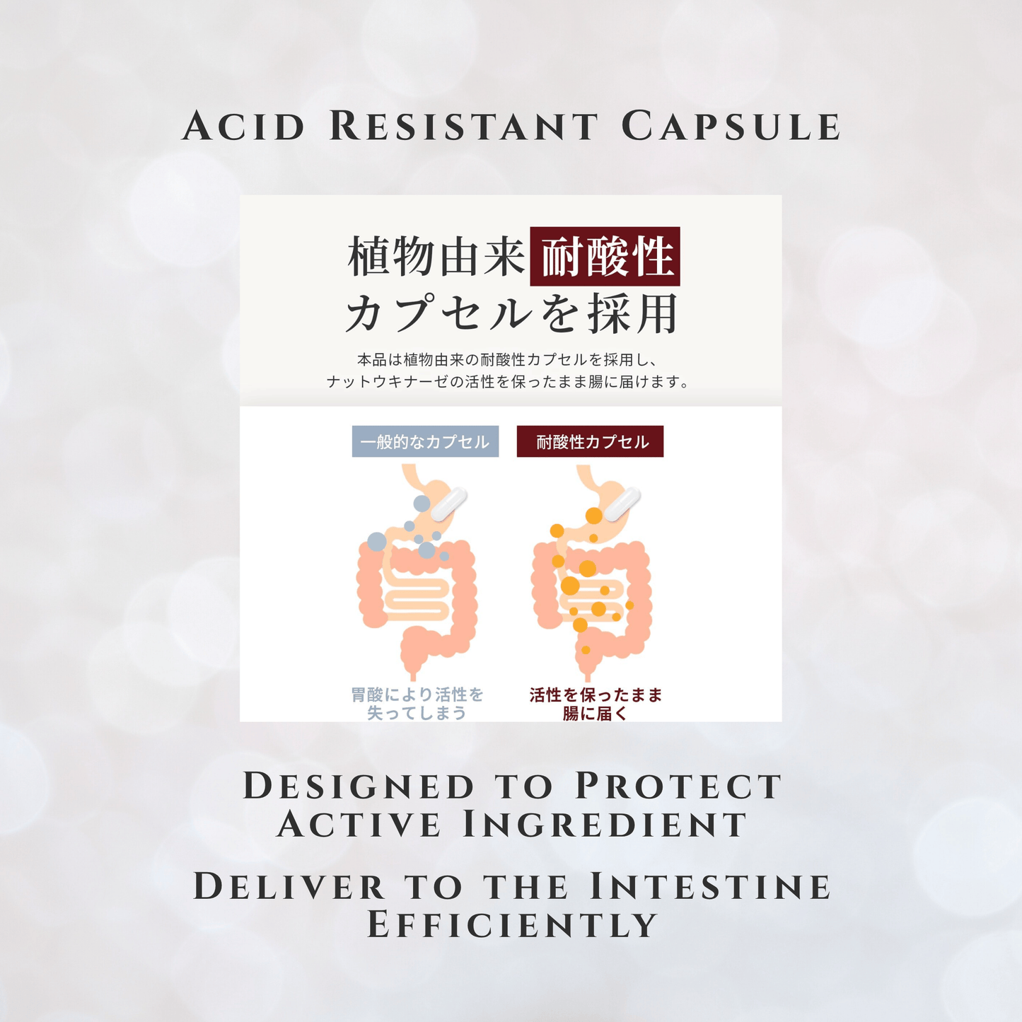 Herbase Nattokinase | Japanese Supplement 12000FU 30-Day Supply