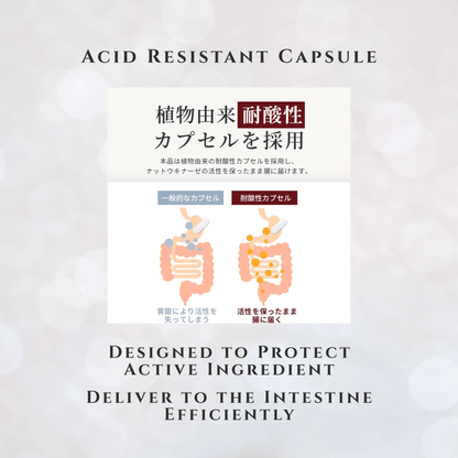 Herbase Nattokinase | Japanese Supplement 12000FU 30-Day Supply