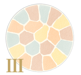 Elegance La Poudre Haute Nuance Gesichtspuder 8,8 g | Japan Luxus-Kompaktpuder | 3 Farbtöne