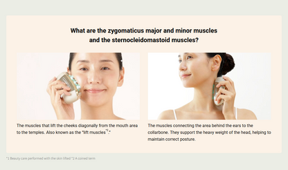 YA-MAN Liftlogy YJFD1 EMS Facial Beauty Device - Japan Model