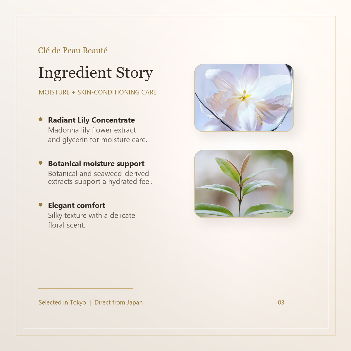 Clé de Peau Beauté Le Sérum II elegant ingredient story image