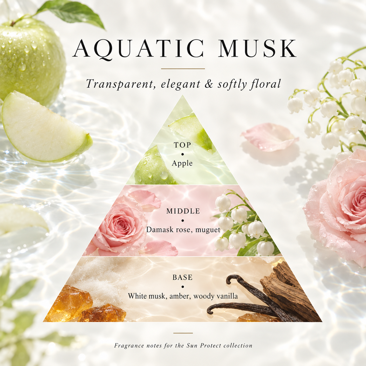 Aquatic musk fragrance notes