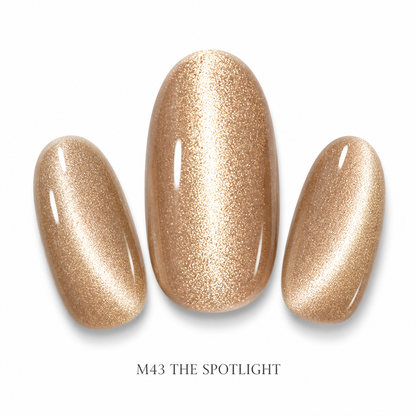 GELiSM Magnetic Gel Polish