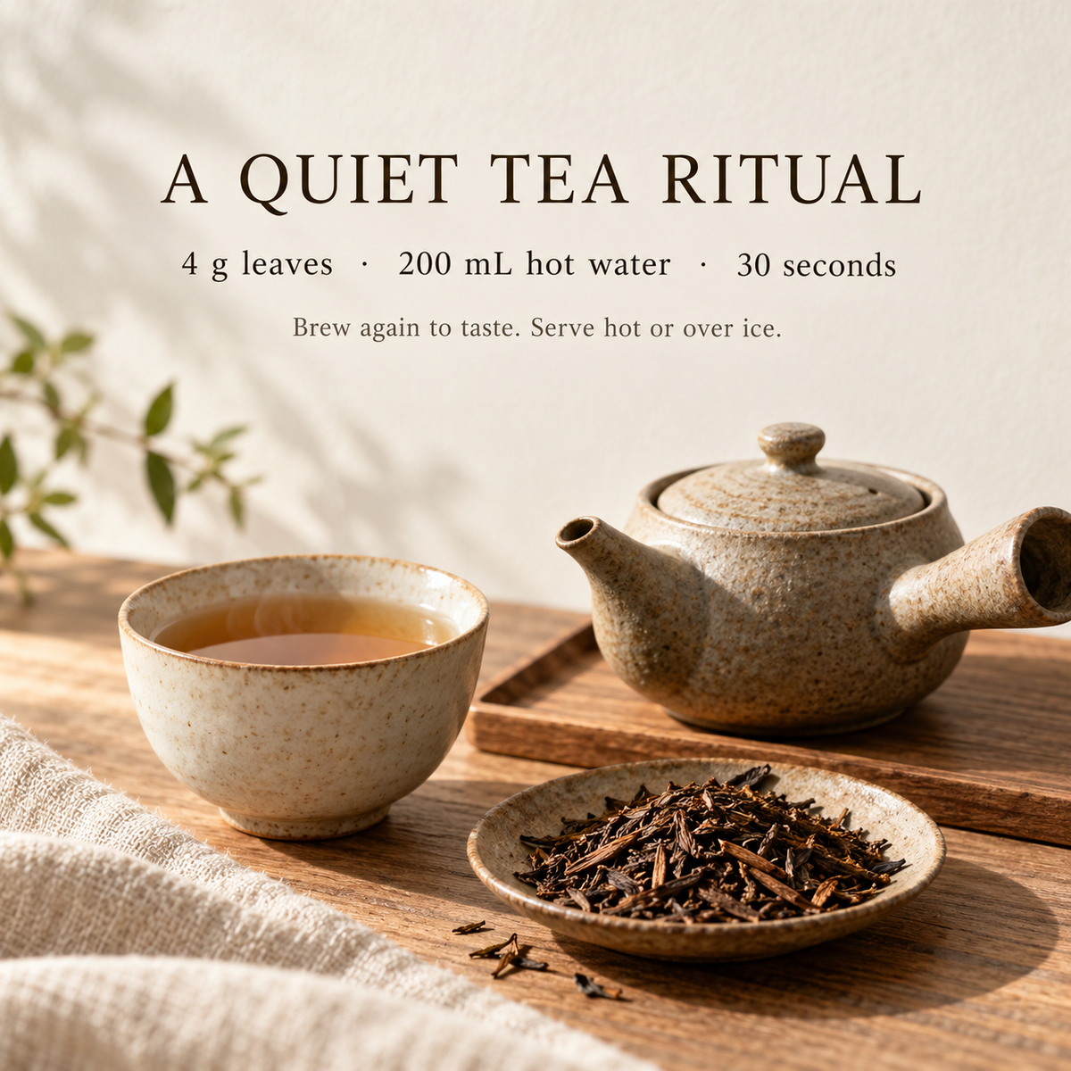 Loose leaf hojicha brewing guide