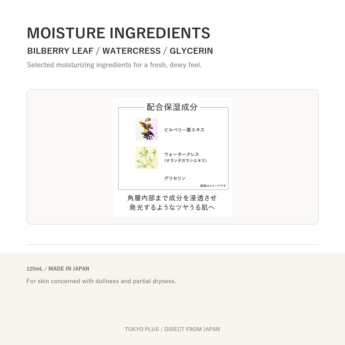KANEBO On Skin Essence F moisturizing ingredients image