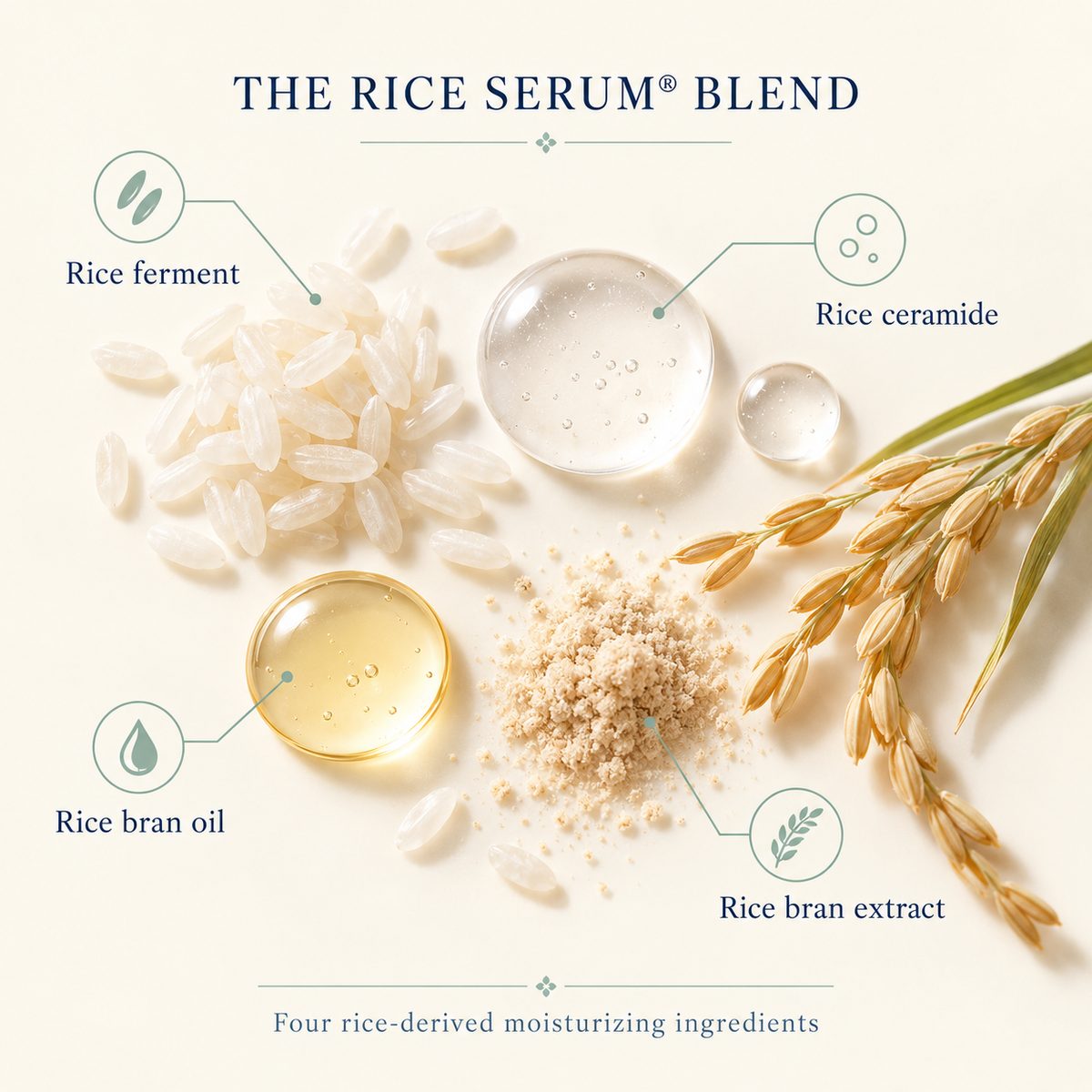 Four rice-derived moisturizing ingredients in Rice Serum