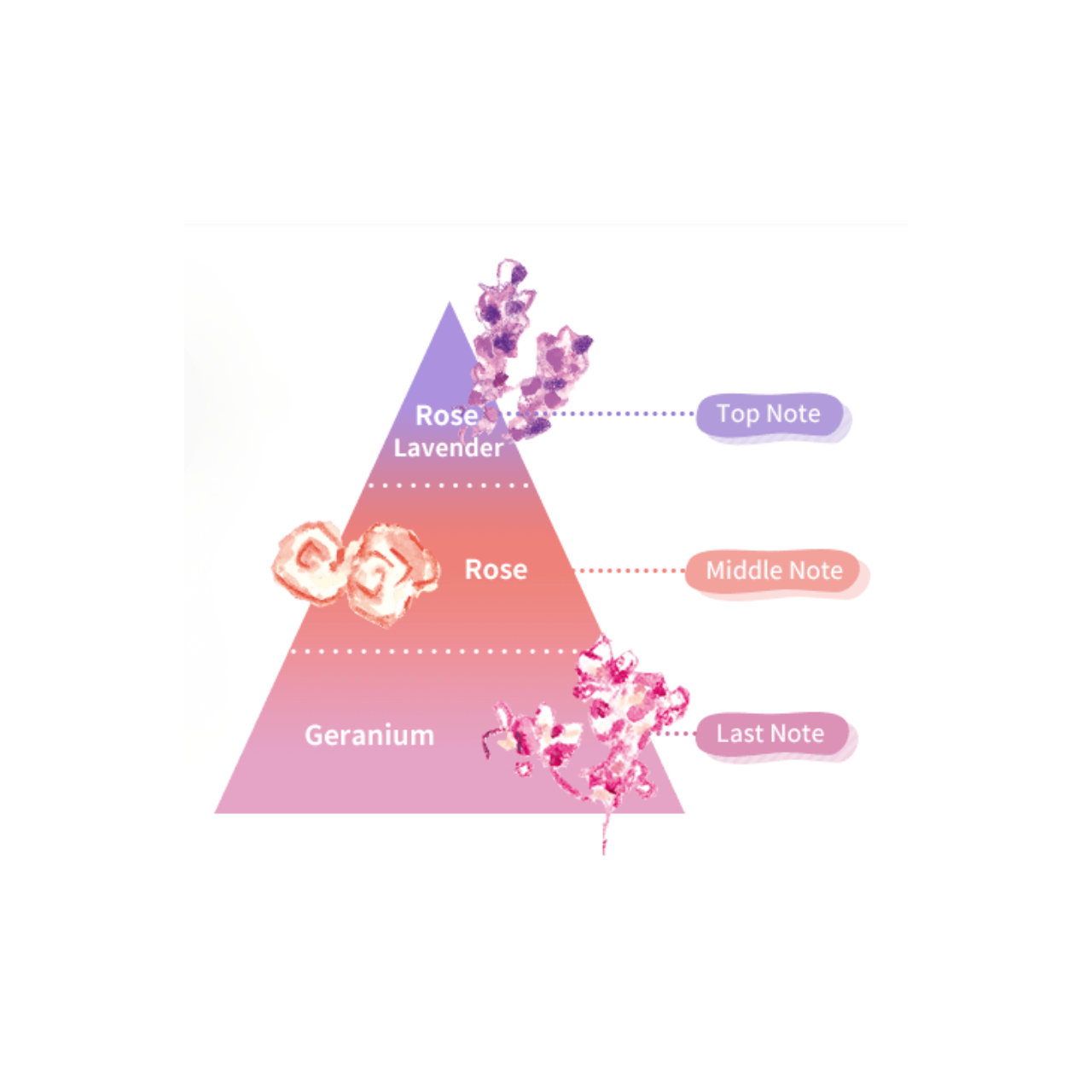 LORETTA Base Care Oil 120mL product notes