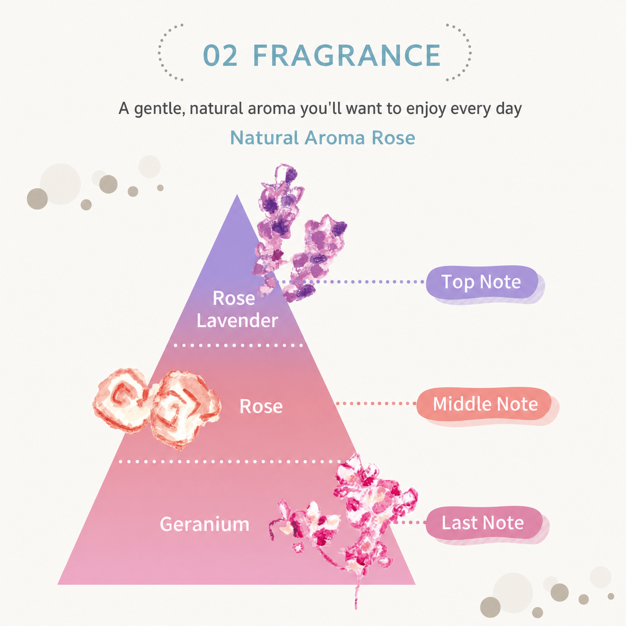 Loretta natural aroma rose fragrance notes