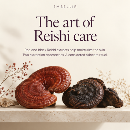 MENARD EMBELLIR shared 04 reishi