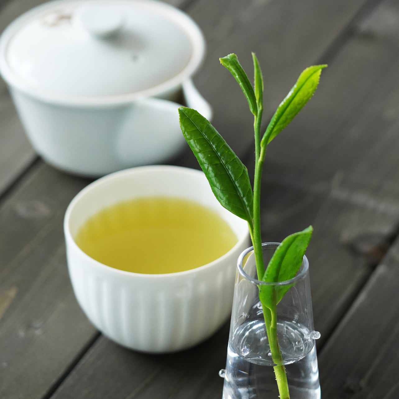 Brewed Nakamura Tokichi Shincha Take tea