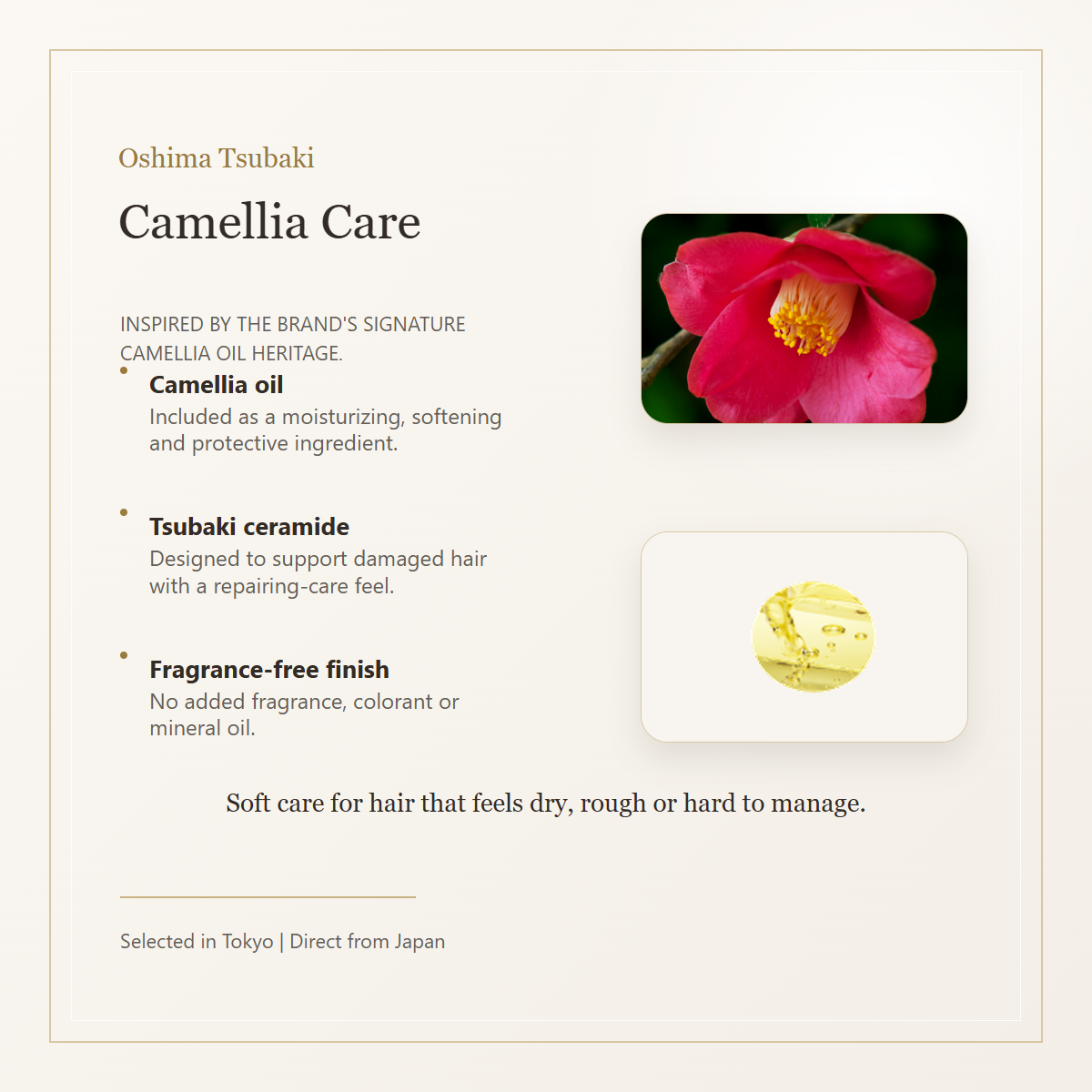 Oshima Tsubaki Hair Water camellia ingredient story