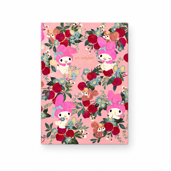 notebook — product overview