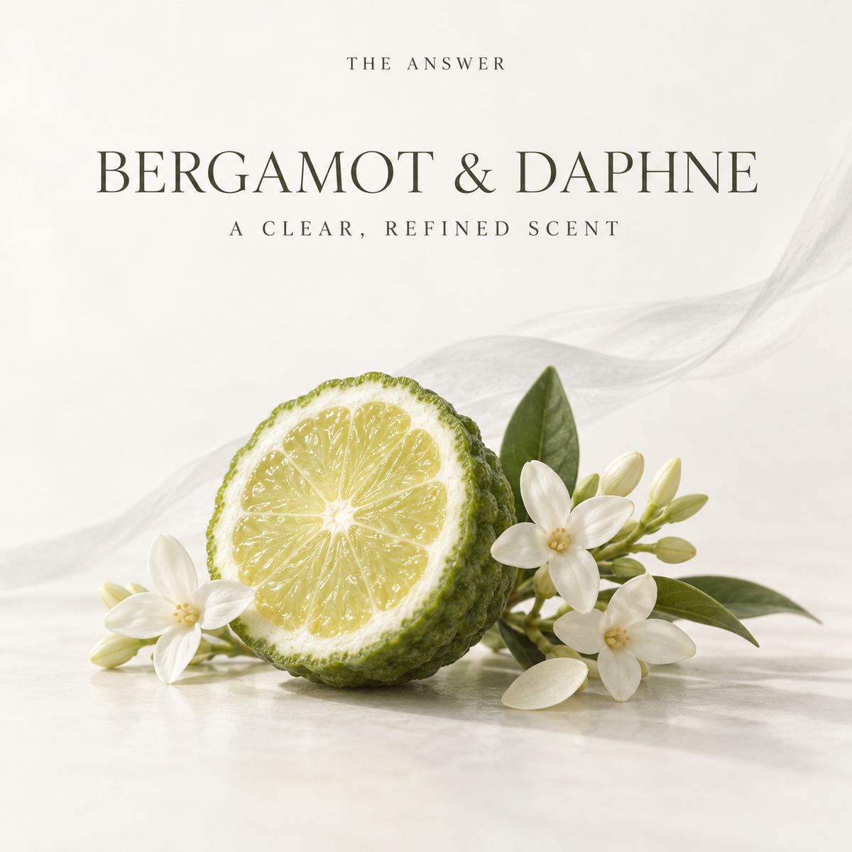 THE ANSWER Bergamot and Daphne fragrance feature image