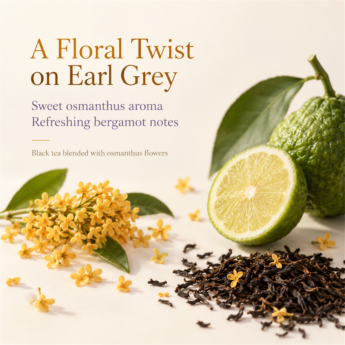 Osmanthus and bergamot aroma notes in black tea